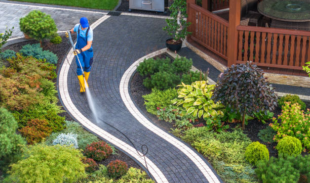 Best Local Pressure Washing Services  in Custer, SD